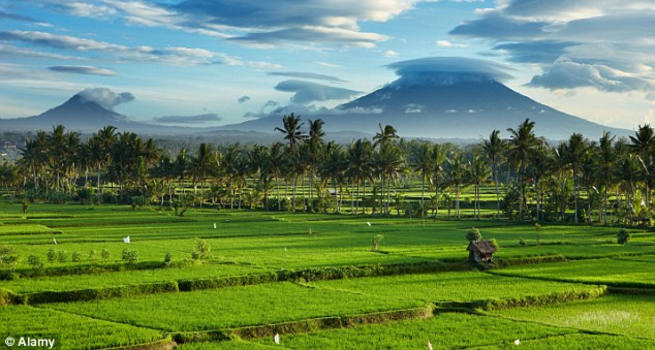 Bali - Mount Agung and rice fields