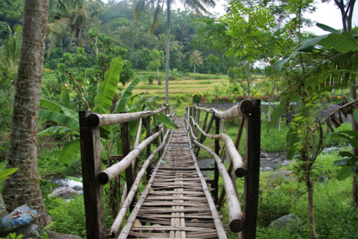 Bali - Een tropische brug