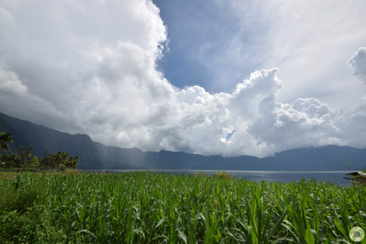 Sumatra - Danau Maninjau