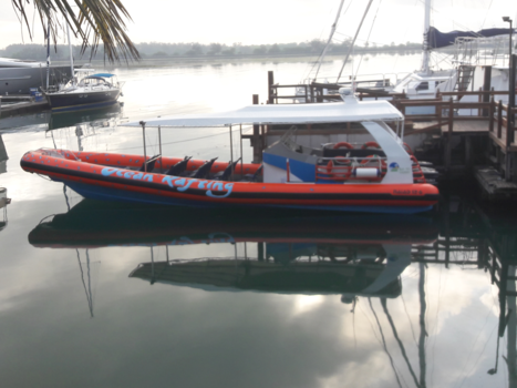 Bali - Dolfijnen kijken