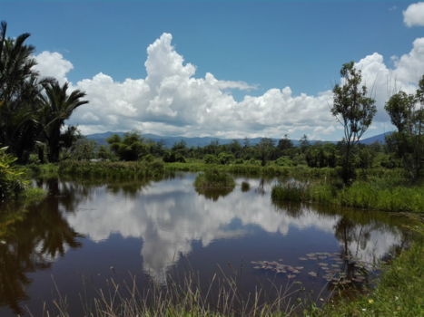 Sulawesi - Prachtig landschap in de Bada vallei