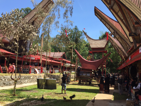Rondreis Sulawesi - Tana toraja