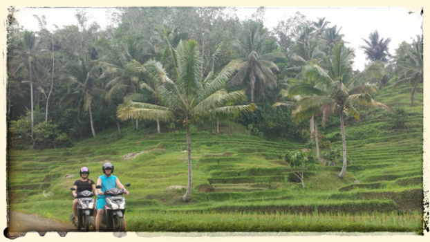 Jatiluwih rijstvelden - on tour