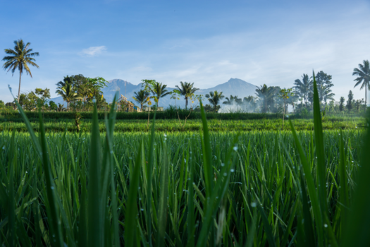 Gunung Rinjani - Gunung Rinjani