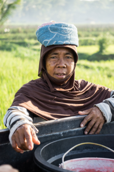 Lombok - Aan het werk bij zonsopgang