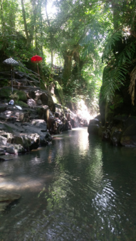 Bali - Charming waterfalls