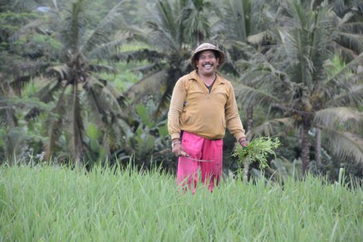 Rondreis Bali & Lombok - Een heel gezellige ontmoeting in de rijstvelden van Bali