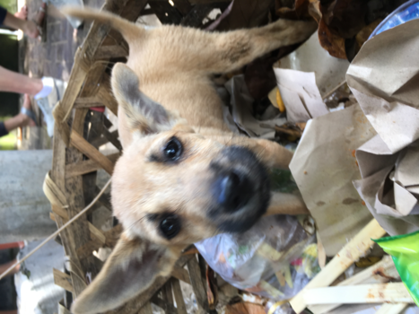 Bali - Adorable Bali