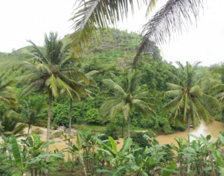 Yogyakarta - Shri getuk