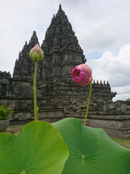 Prambanan - Prambanan