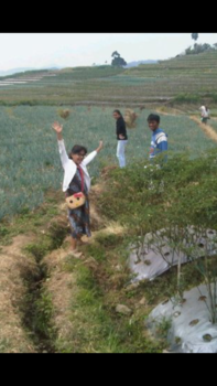 Batu - Mijn mooi centraal java (batu)