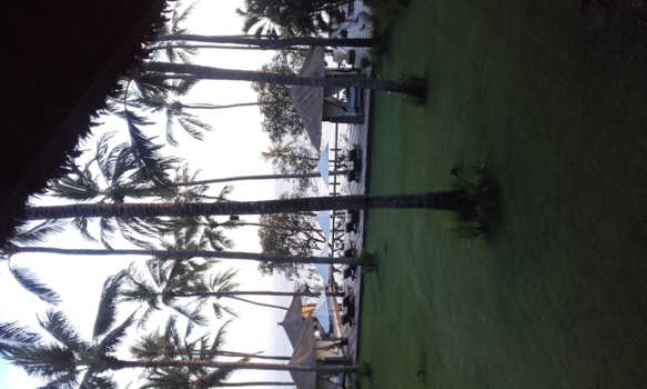 Bali - Paradijselijk Bali