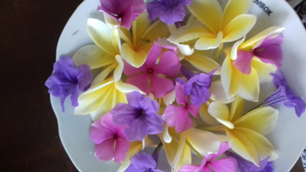 Bali - Schoonheid is er in overvloed