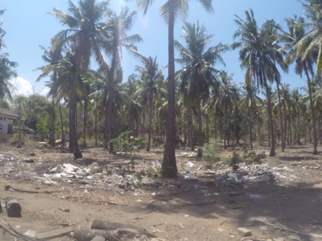 Gili-eilanden - Ook dit is Gili