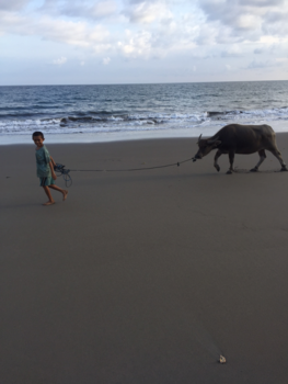 Flores - Strandwandeling