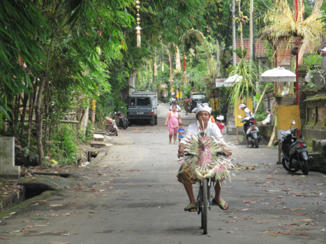 Ubud - Feestdag in bunutan nabij Ubud