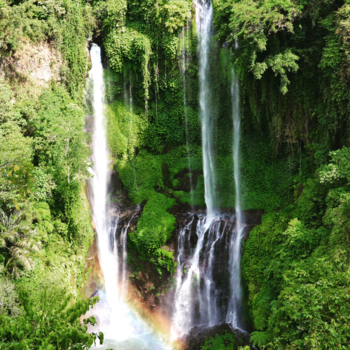 Bali - A day in paradise