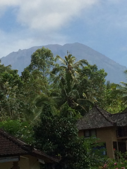 Rondreis Bali - 50 tinten groen in Tirtagangga