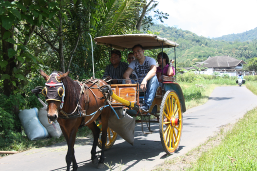 Java - Andong rit door de kampong