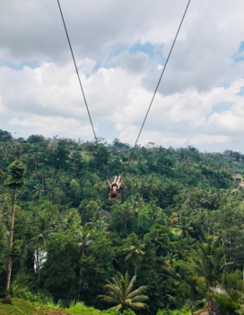Bali - Zwevend boven Ubud, Bali @ Bali Swing