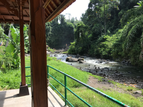 Bali - By the tegenungan waterfall