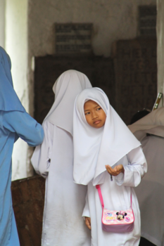 Sulawesi - Perfect bag