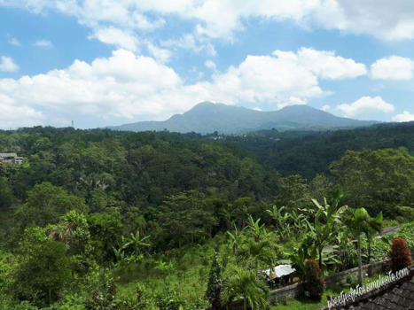 Bali - Jungle west Bali.