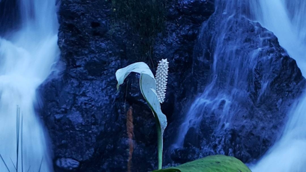 Bandung - Maribaya Falls, Lembang West Java