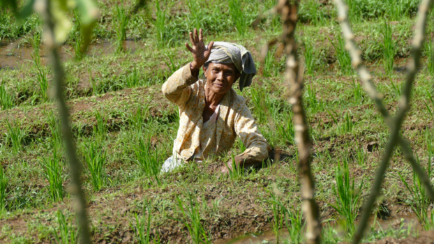 Bali - Zwaaiende dame tussen de rijstvelden
