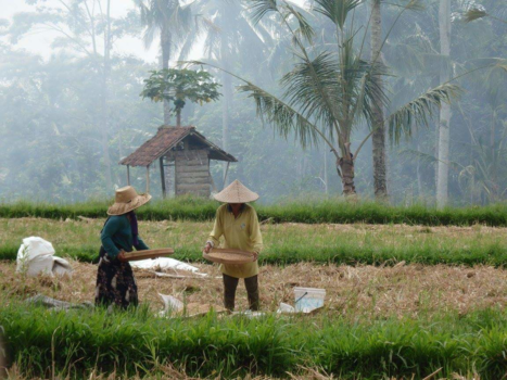 Bali - Binnenland Bali