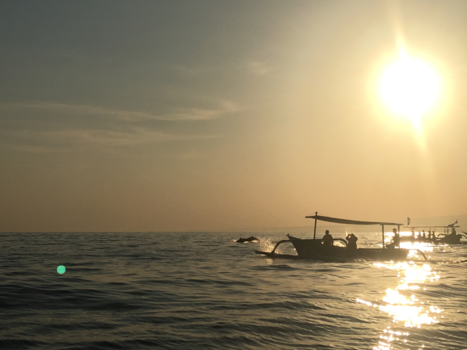 Bali - Zonsopgang Lovina