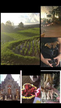 Bali - Nog veel meer moois te ontdekken