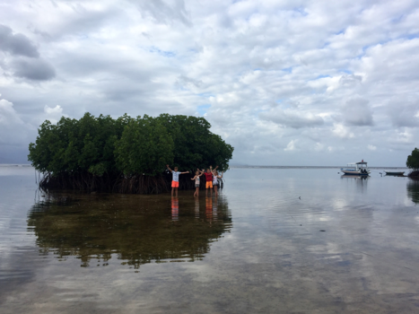 Nusa Lembongan - Mangrove weerspiegeling