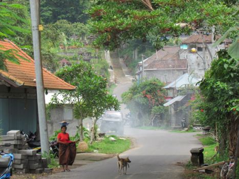 Bali - Dorpstafereel in een van de kampongs