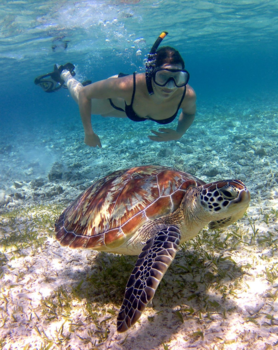 Gili-eilanden - Waaw!