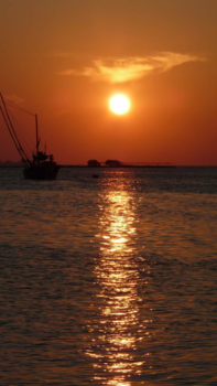 Karimunjawa Marine National Park - Sunset taken infront of our hotel in Karimunjawa