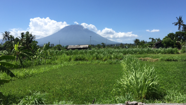 Bali - Bali My Dream