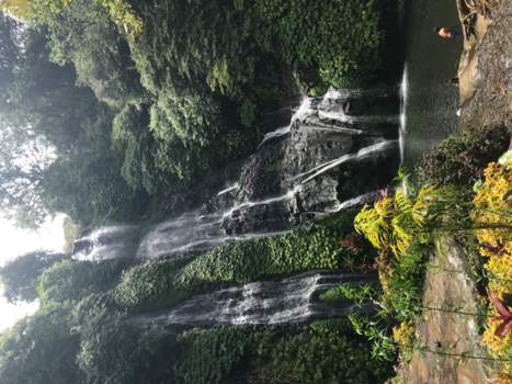 Bali - Sukasada-Wanagiri