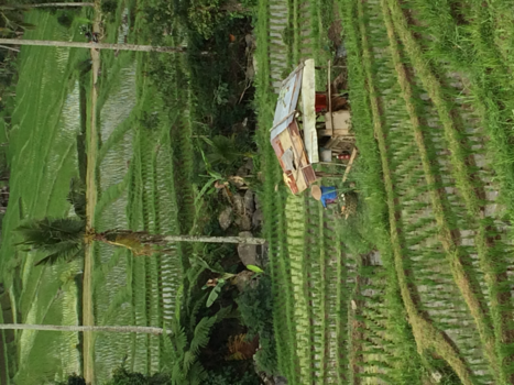 Bali - Dat ik daar mocht zijn ...