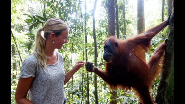 Sumatra - Meeting my first wild orang oetan