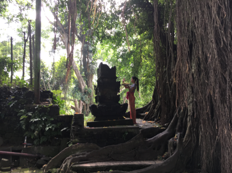 Ubud - Offer ritueel @ monkey forest