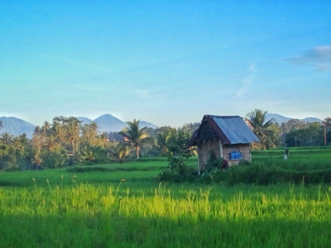 Rondreis Indonesië in vier weken - Verveelde nooit