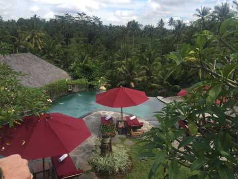 Ubud - Terima kasih