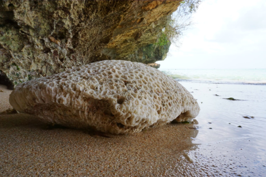 Bali - Padang padang beach