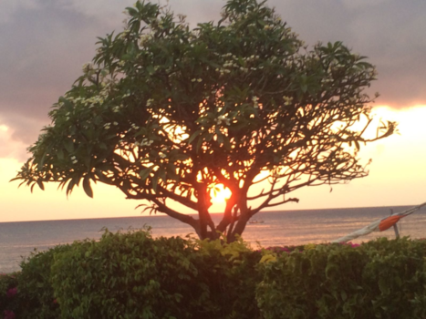 Bali - Beautiful Sunrize