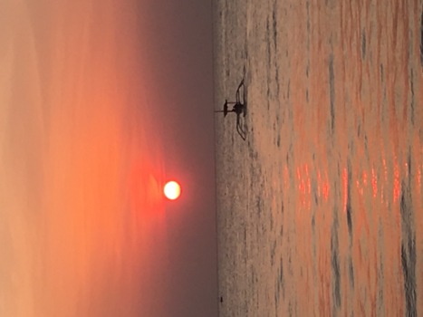 Bali - Sunset@Lovina