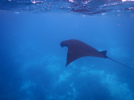 Komodo National Park