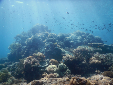 Komodo National Park