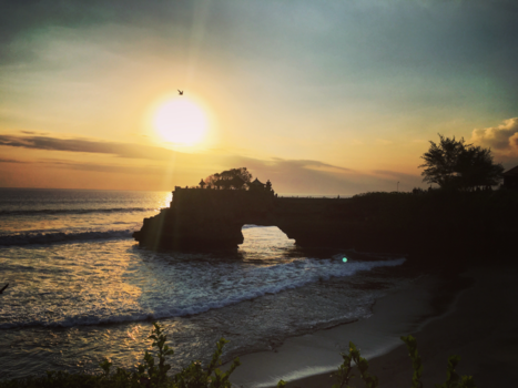 Bali - Free like a bird