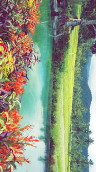 Bali - Wonderfull munduk